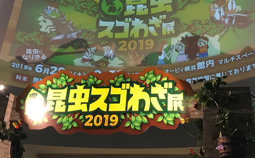 昆虫スゴわざ展