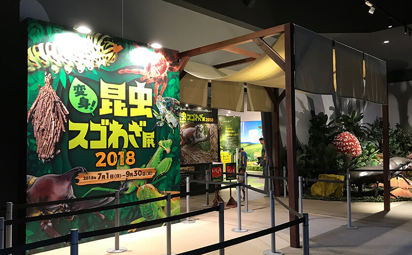 変身！昆虫スゴわざ展