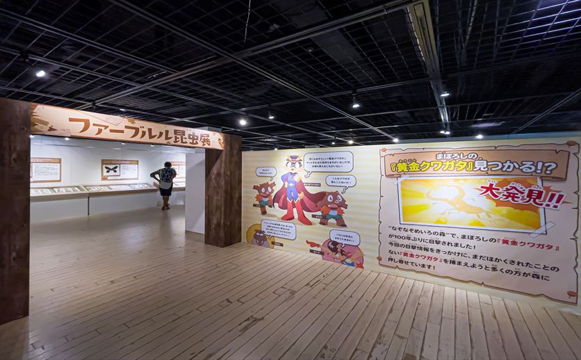 「かいけつゾロリわくわく昆虫展」の展示